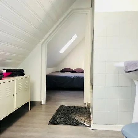 F1 Atypique Au Centre De Strasbourg Apartment Exterior photo